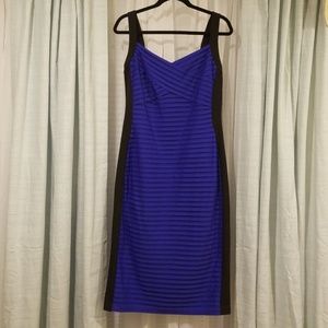 Sexy Scuba Dress